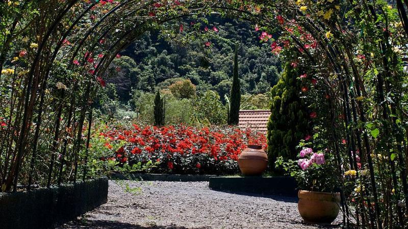 Pestana Quinta Do Arco Nature & Rose Garden Hotel Arco de Sao Jorge Exterior photo